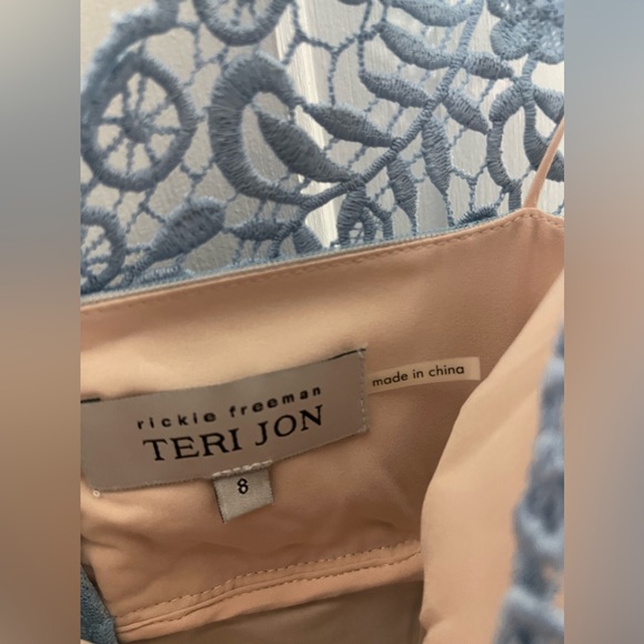 Teri Jon by Rickie Freeman Embroidered Sleeveless Cocktail Dress Sz 8 - Picture 9 of 11